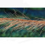 Troutline Shrimp Body Yarn -golden brown