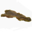 Troutline Tanned Pine Squirrel Skins-yellow