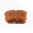 Troutline Grey Squirrel Tanned Skin piece -orange