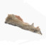 Troutline Premium Tanned Pine Squirrel Half Skin -natural