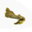 Troutline Premium Tanned Pine Squirrel Half Skin -yellow