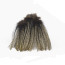 Coq de Leon Pardo Colgaderas Feathers-pardo sarrioso
