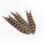 Troutline Ring-neck Pheasant Tail Feathers Segments -natural