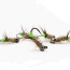 Troutline Tactical Green Peeping Caddis Jig Nymph BL #14