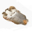 Premium Partridge Skins without Wings and Head-natural
