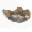 Troutline Premium Partridge Complete Skin-natural