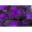Troutline Premium Silver Fox Ring Tails -magenta purple