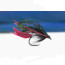 Troutline Classic Alexandra Wet Fly BL -#12