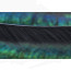 Troutline Muskrat Zonker Strips 3mm - black