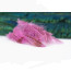 Troutline Shrimp Partridge Hackle -pink