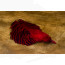 Veniard Golden Pheasant Complete Head- hot red