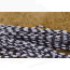 Veniard Barred Centipede Small Legs -white