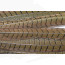 Veniard Cock Pheasant Complete Tail -natural