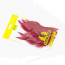 Veniard Schlappen Feathers -red scarlet