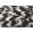 Whiting American Hackle Hen Cape -grizzly