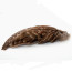 English Partridge Wings -pairs-natural color