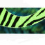Pacchiarini Double Dragon Tails XL -chartreuse barred