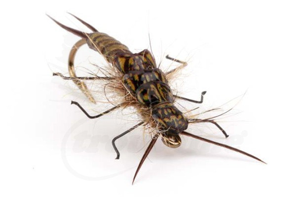 Pro Stonefly Nymph Backs Small