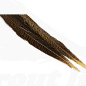 Troutline Golden Pheasant Tails 22-24'' inches