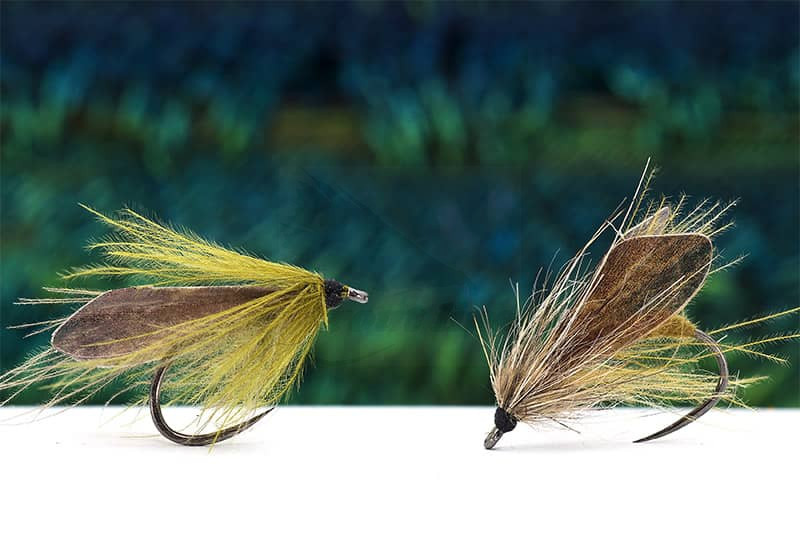 Hemingway's Caddis Wings Mixed Sizes