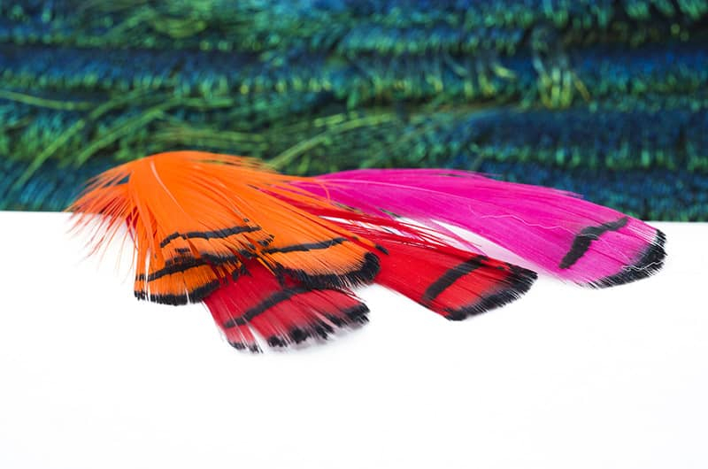 Pheasant Feathers Natural Lady Amherst Pheasant Red Orange Tip