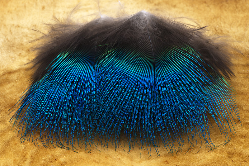 Troutline Selected Blue Neck Peacock Feathers