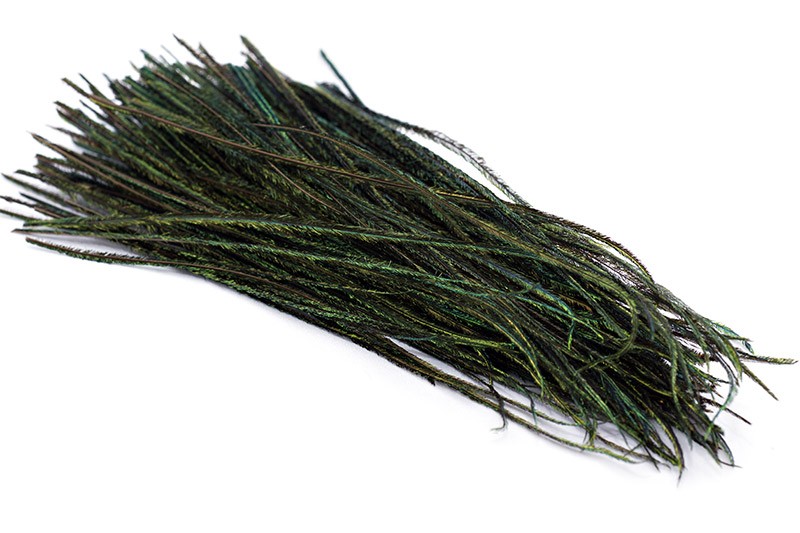 Dyed Peacock Herl | Pacific Fly Fishers
