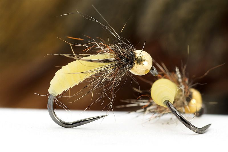 Olive Caddis Pupa flyfishing Nymph fly trout Pattern