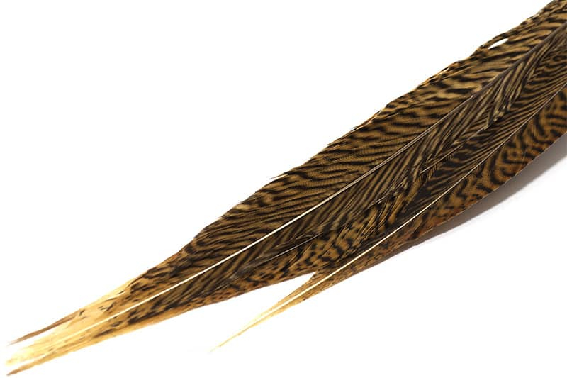 Golden fly fishing shop clearance